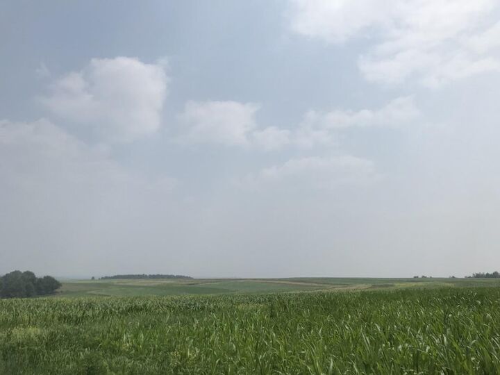 Property Photo: 10 Acres Lincoln Drive 139054 WI 54411