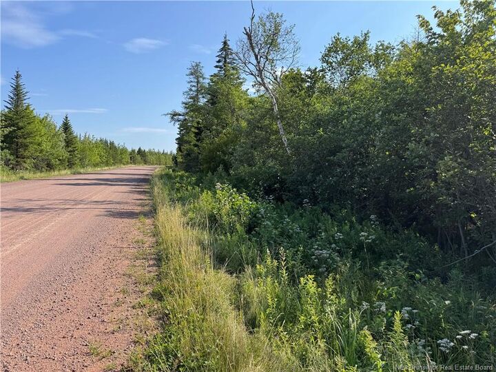 Property Photo:  Lot Route 935  NB E4L 0A9 