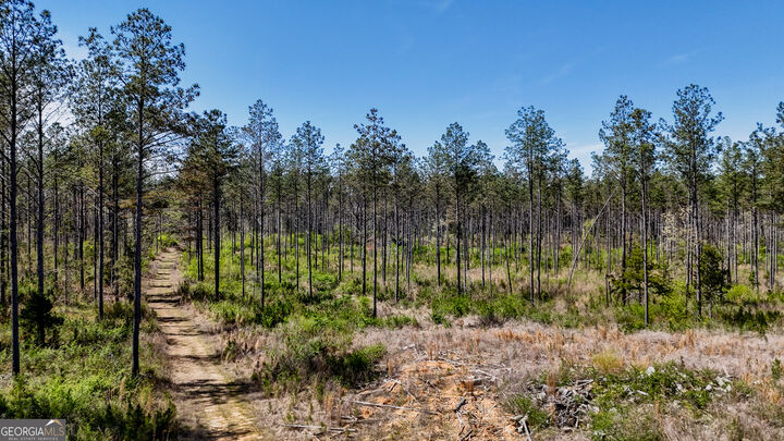 Property Photo:  28 Acres Youngs Farm Road  GA 30125 