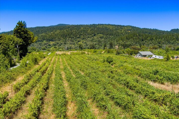 Property Photo:  0 Carpenter Lane  CA 95546 