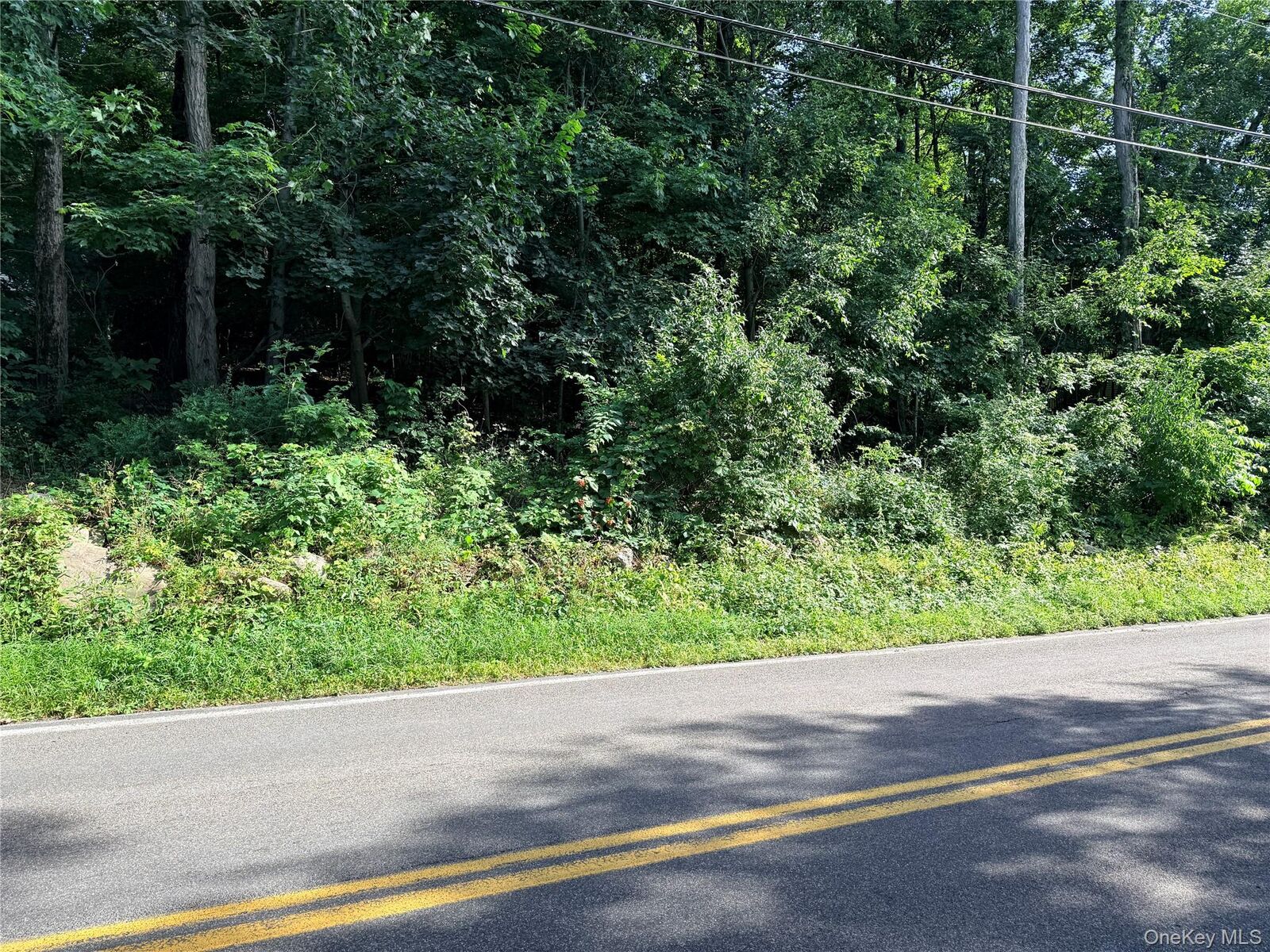 Property Photo:  Brewer Road  NY 12550 