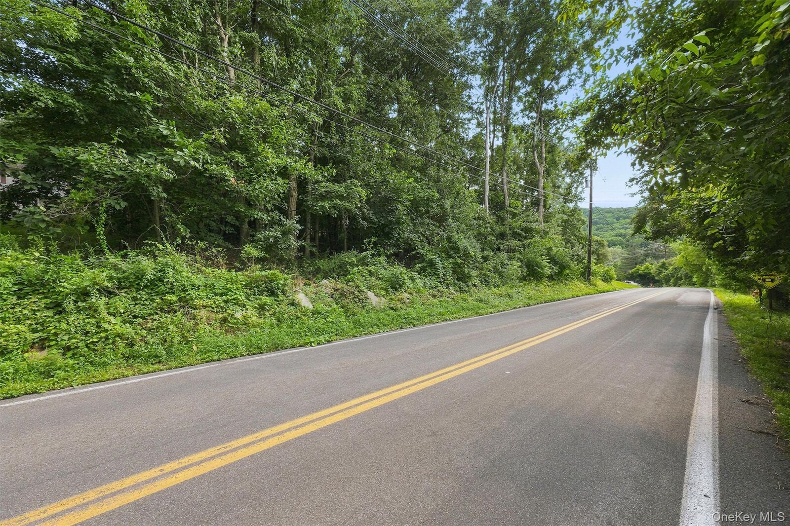 Property Photo:  Brewer Road  NY 12550 