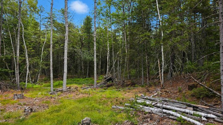 Property Photo:  Lot 42 Colby Road  ME 04578 