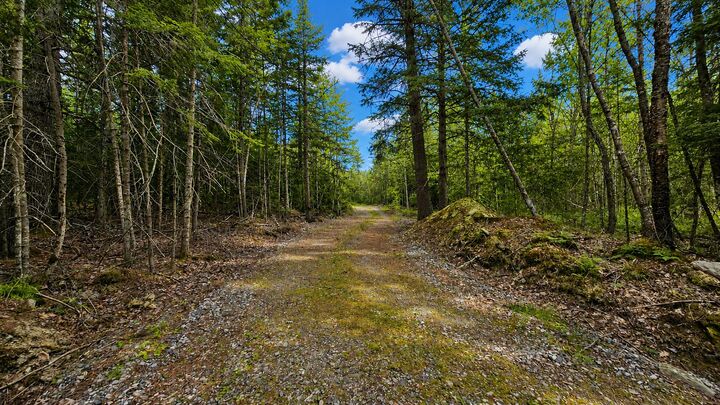 Property Photo: Lot 42 Colby Road ME 04578