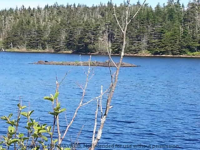 Property Photo:  Lot 12A East Side Grand River Road  NS B0E 1M0 