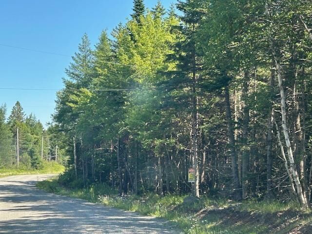 Property Photo:  Lot 4 890 West Side Loch Lomond Road  NS B0A 1H0 