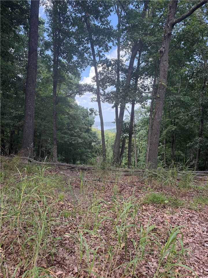 Property Photo:  Lot 21 Mundell Road  AR 72631 