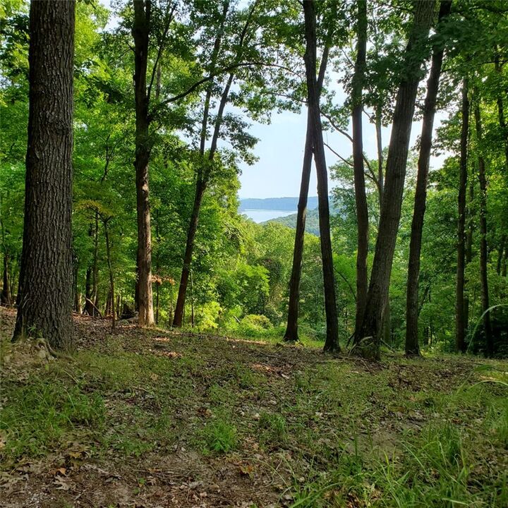 Property Photo:  Lot 21 Mundell Road  AR 72631 