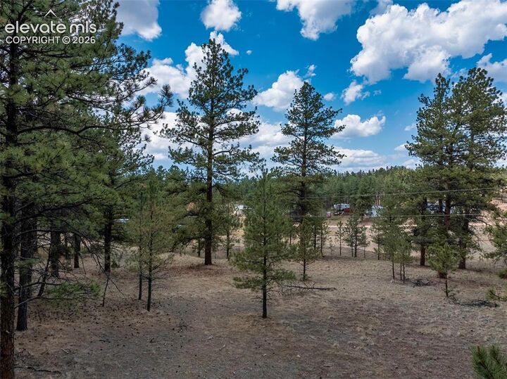 Property Photo: 41 & 73 Ingels Drive CO 80816