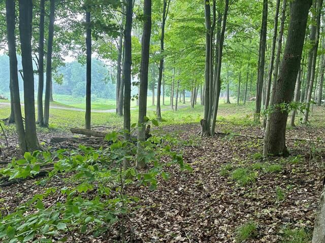 Property Photo: V/L 8 Forest Trail MI 49615