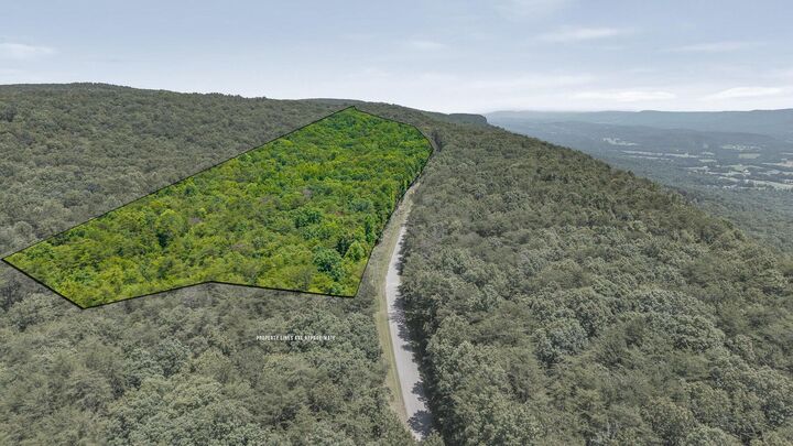 Property Photo: 59.73 Ac Windridge Drive TN 37327