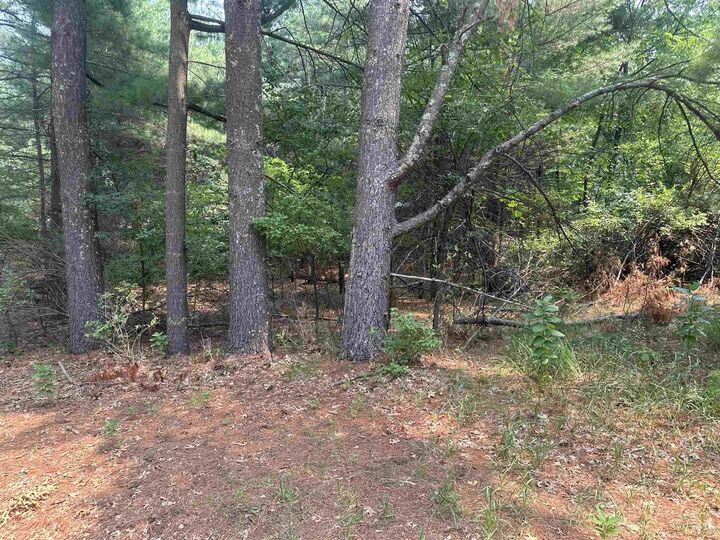 Property Photo:  2046 Wood Street  WI 53934 