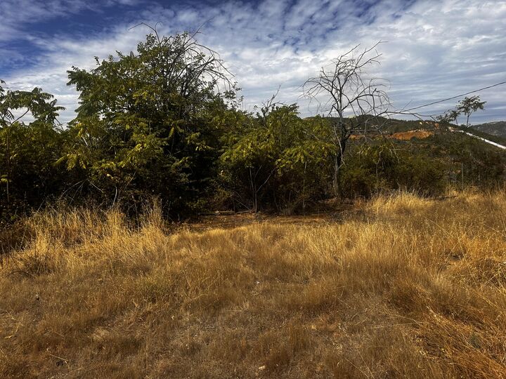 Property Photo: 11578 Market Street CA 96001
