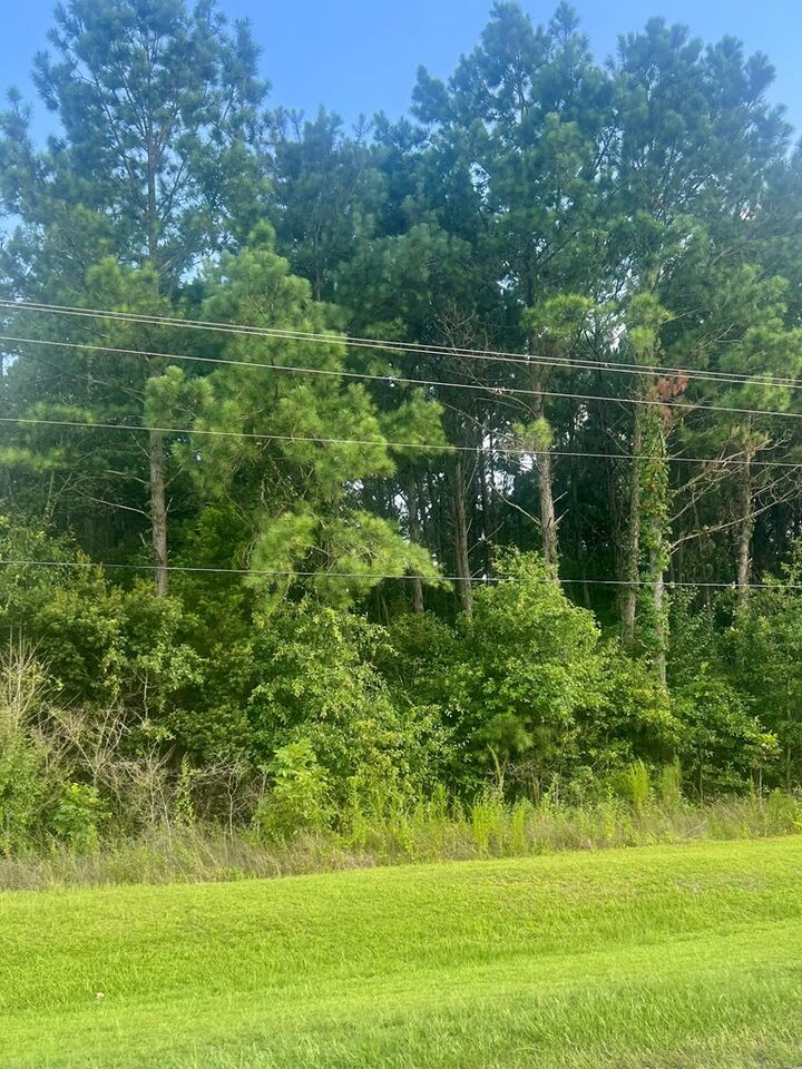 Property Photo:  Tbd Cr 33 Lot 16 Greenbrier Farms S/D  AL 36320 