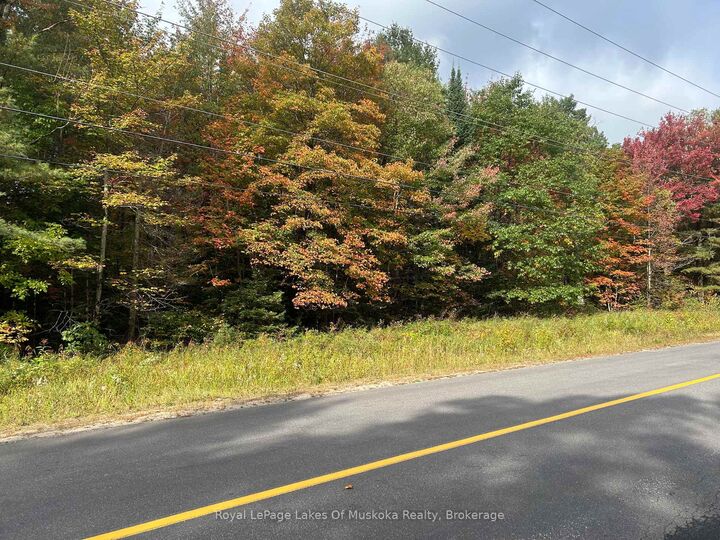 Pt2 35R 132264 Bonnie Lake Road — photo 1