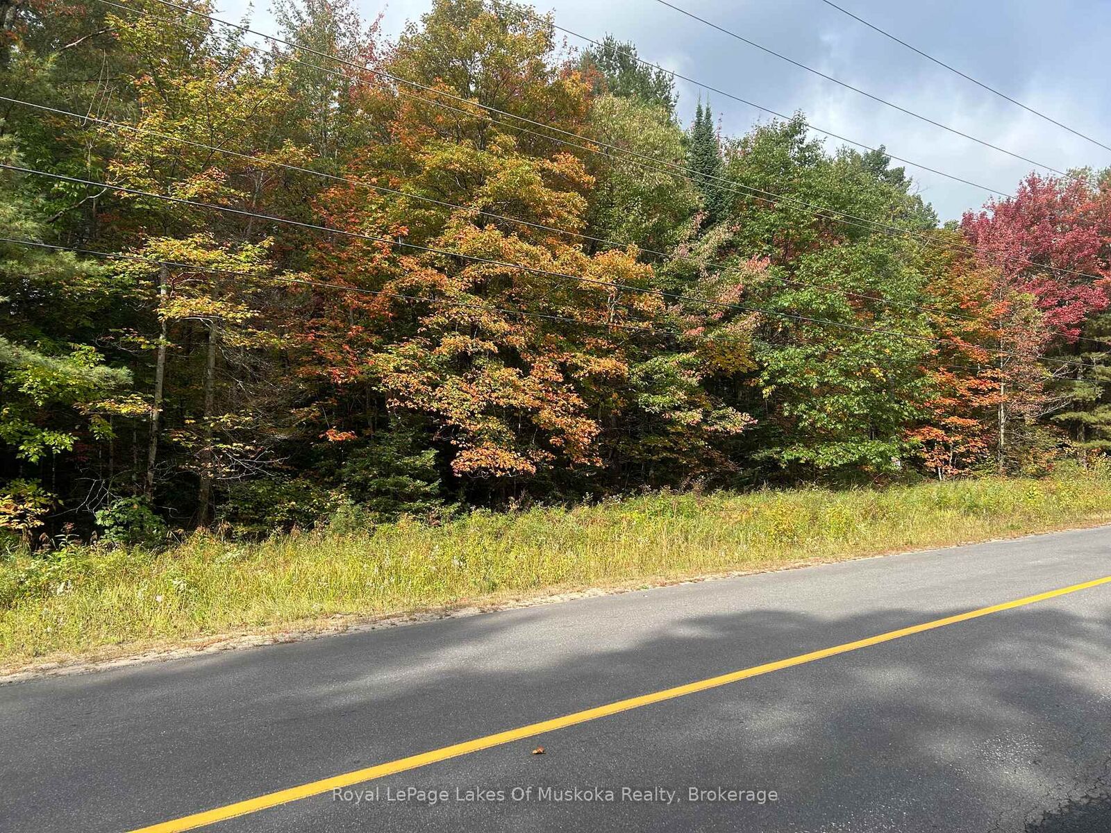 Photo de la propriété:  Pt2 35R 132264 Bonnie Lake Road  ON P1L 1W9 