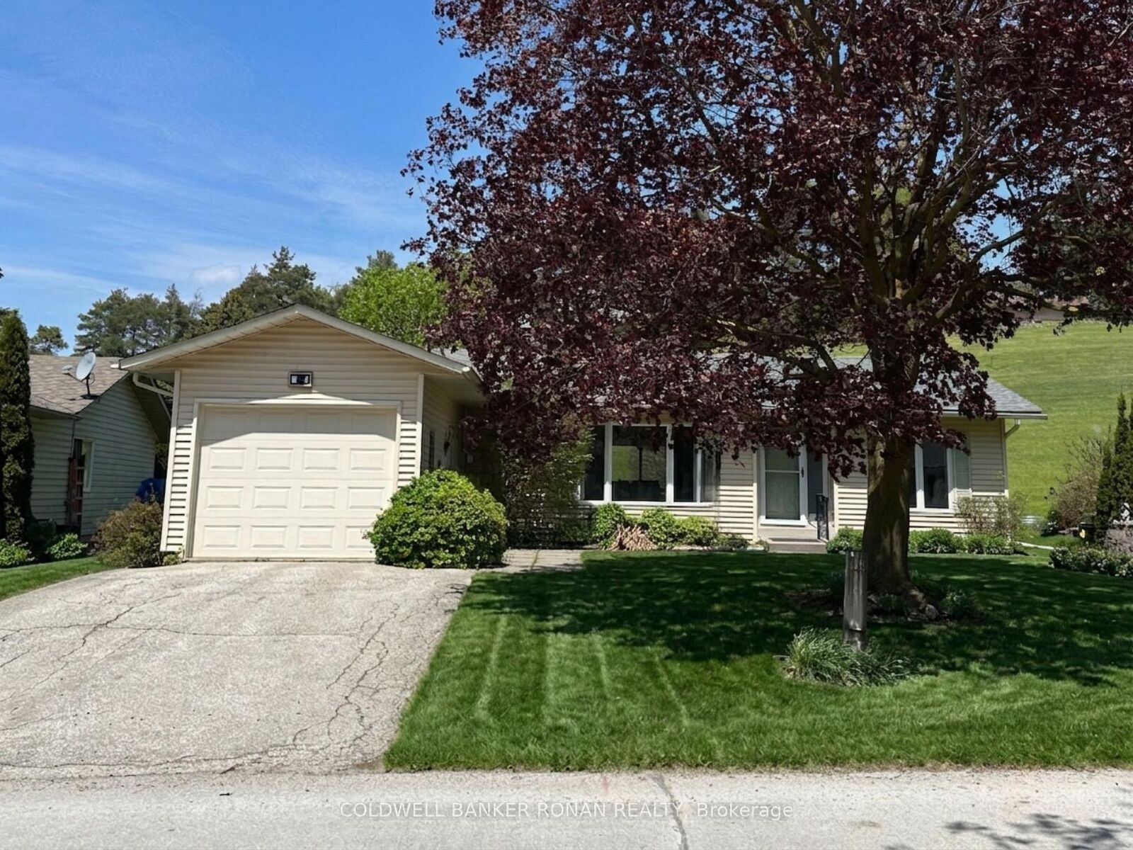 Property Photo: 4 Tecumseth Pines Drive ON L0G 1W0