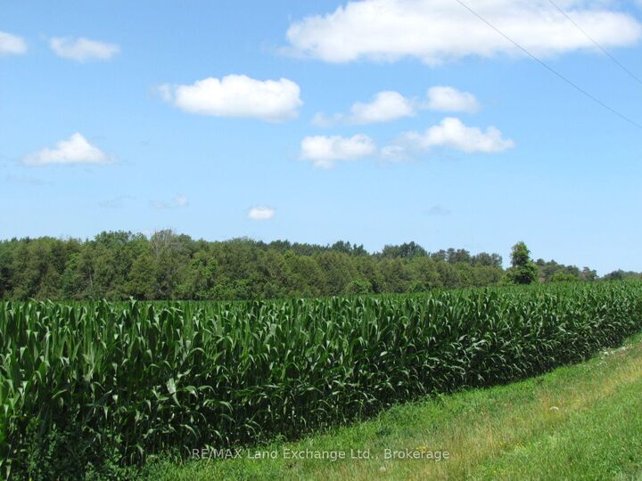 Property Photo: 15 10B Side Road ON N0G 1W0