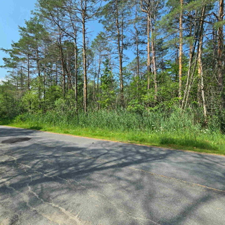 Property Photo:  17 Pinewood Drive  NY 12972 