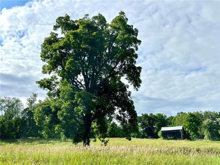 Property Photo: 114 Enfield Falls, Parcel #1 NY 14850
