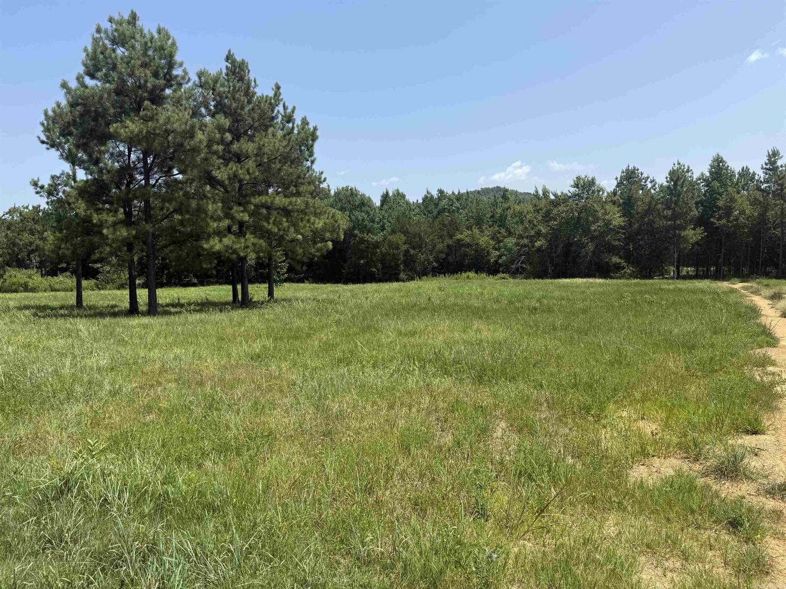 Property Photo:  5883 Hwy 123  AR 72846 