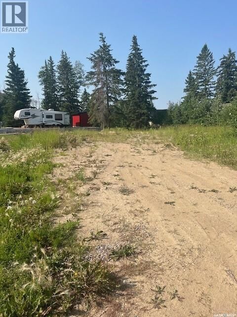Property Photo:  716 Spruce Street  SK S0M 1A0 