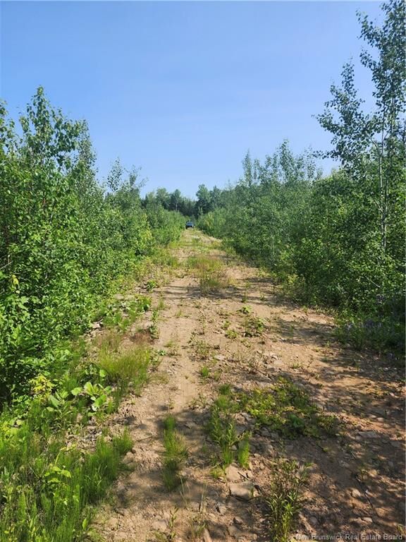 Property Photo:  Lot 116 Highway  NB E4T 2W9 