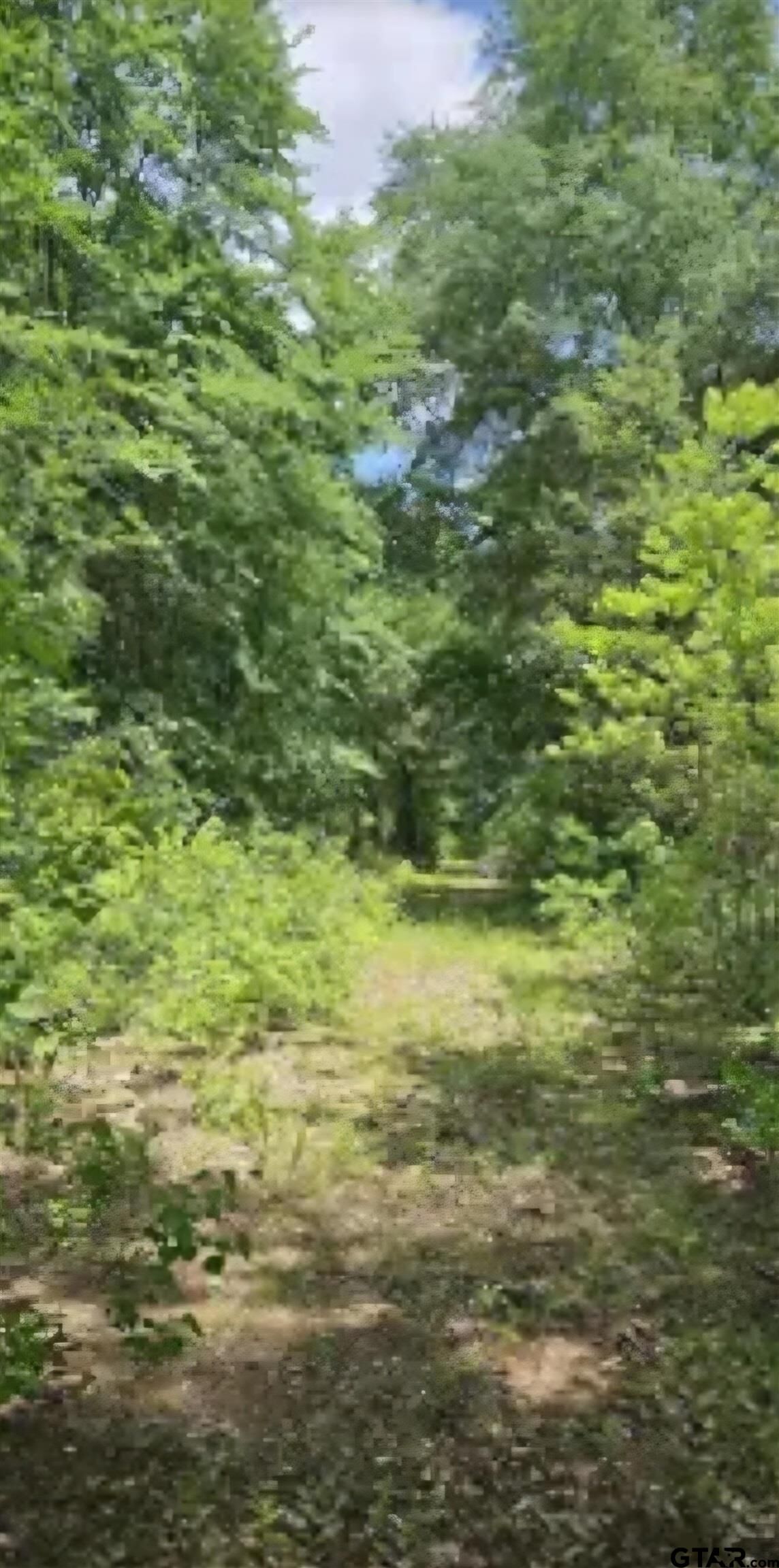 Property Photo:  2415 Fm 17  TX 75410 