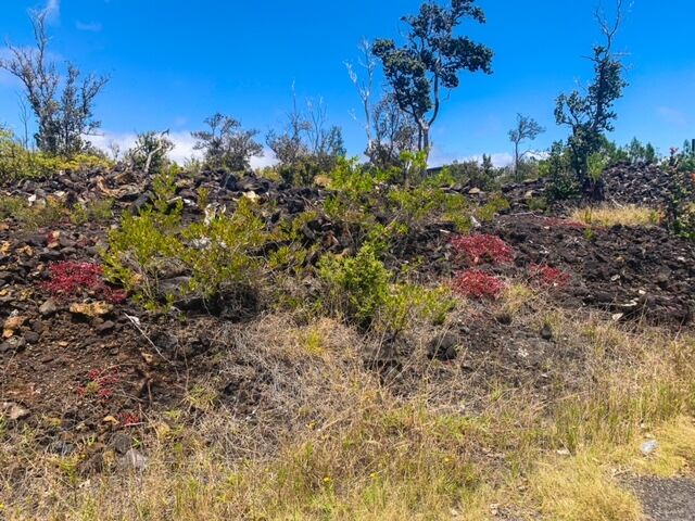 Property Photo:  Pineapple Pkwy  HI 96737 