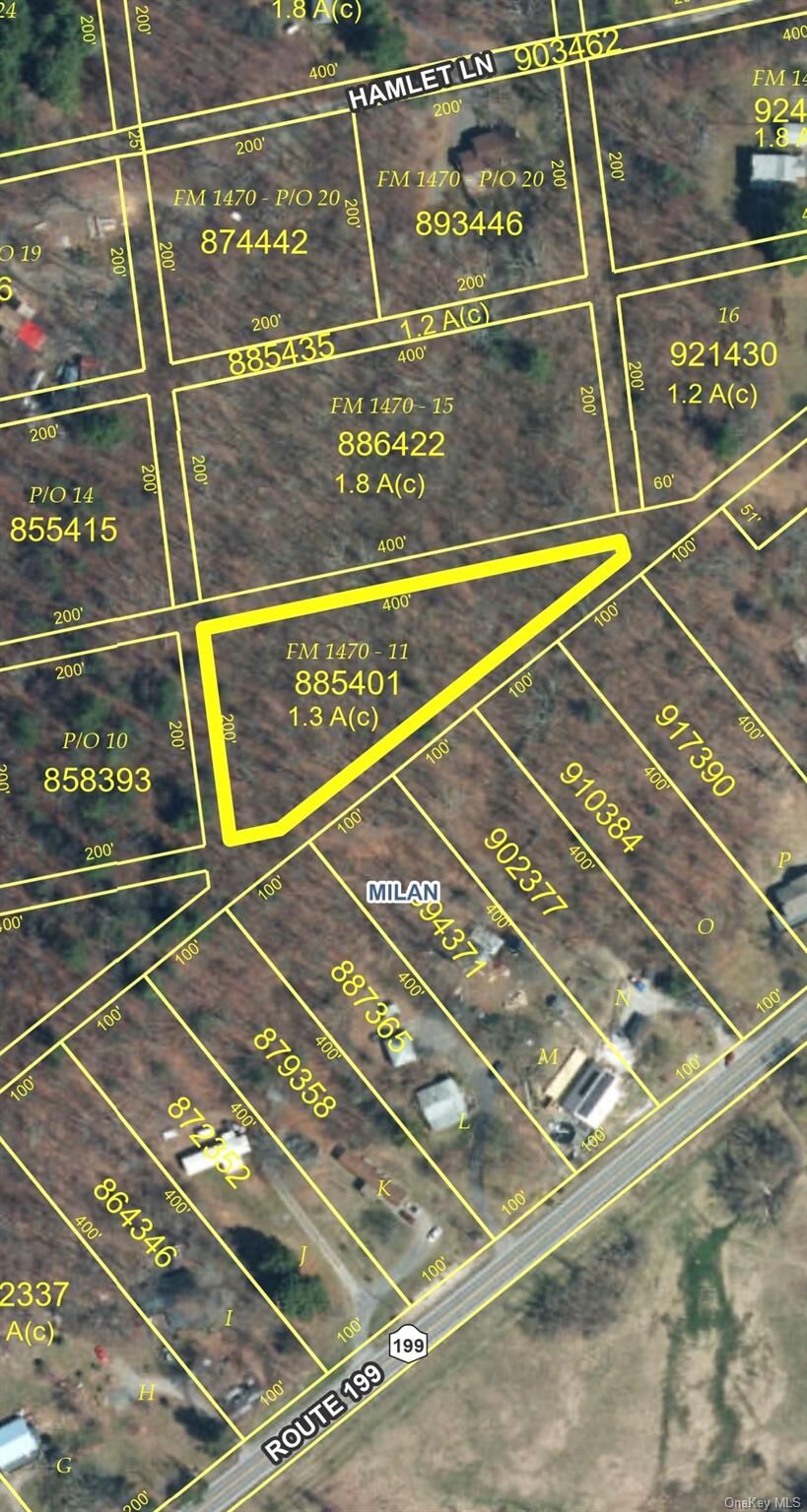 Property Photo:  Lot 885401 Route 199 Rear  NY 12571 