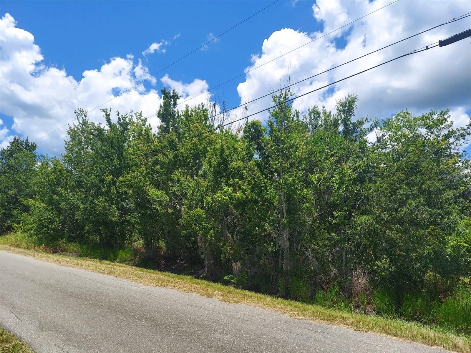 Property Photo:  5410 Bob Smith Avenue  FL 33565 