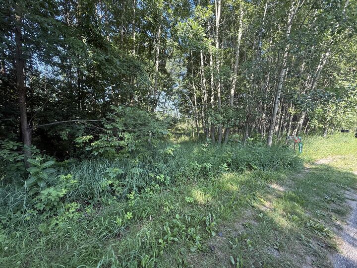 Property Photo: W Royal Road MI 49346