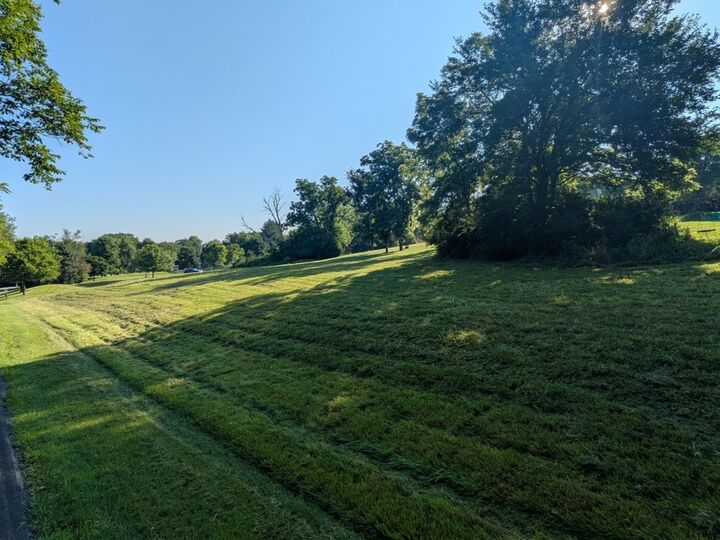 Property Photo:  13131 Steeplechase Drive  IL 60451 