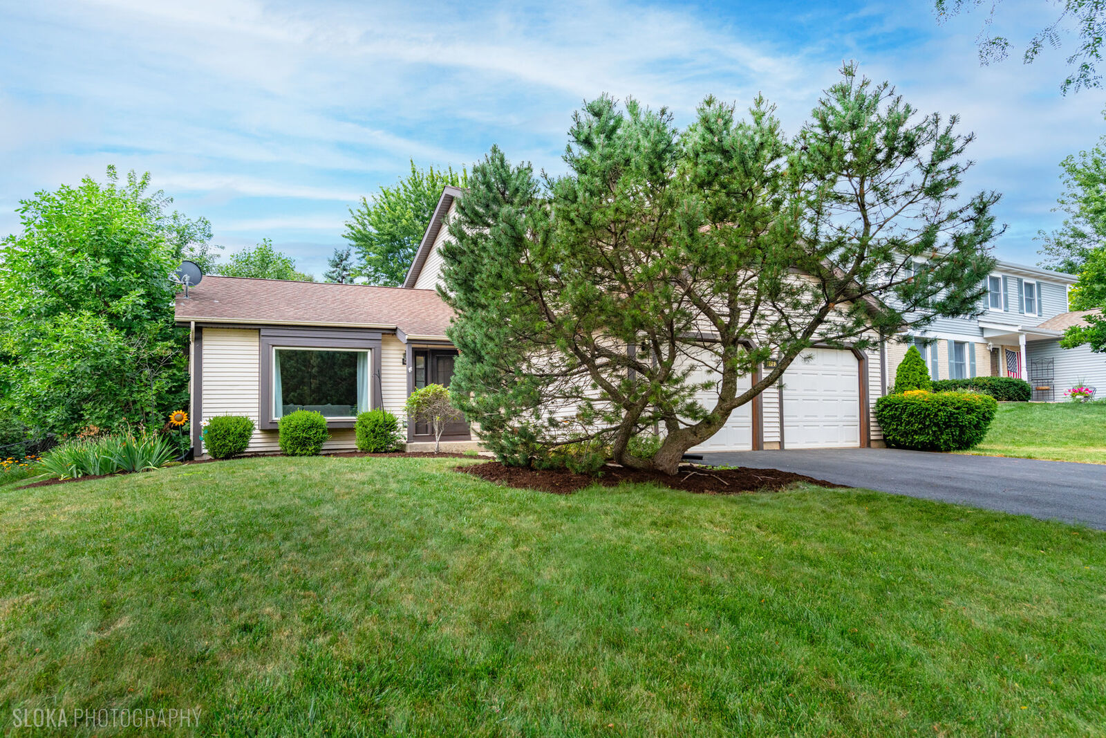 Property Photo: 1152 Pinetree Lane IL 60103
