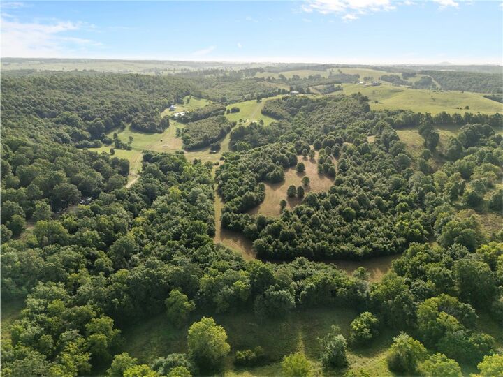 Property Photo:  Tbd (24 Acres) Donkey Trail  AR 72633 