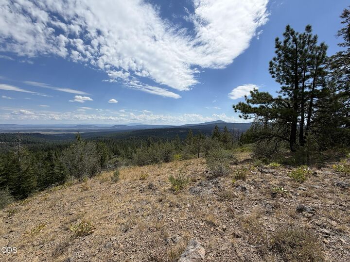 Property Photo:  0 Walrus Lane 388501  OR 97623 