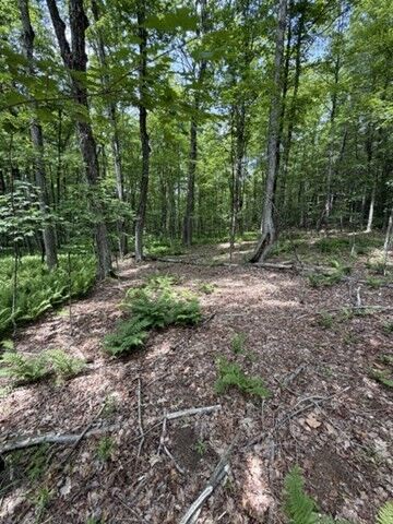 Property Photo:  00 Cyrus Stage Rd  MA 01367 
