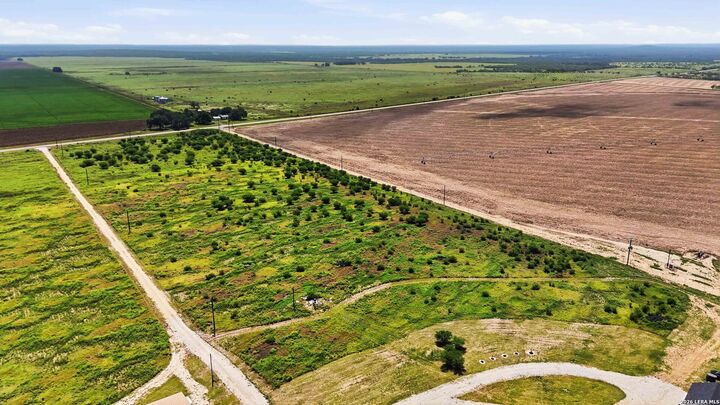 Property Photo:  Tbd Fm 187  TX 78881 