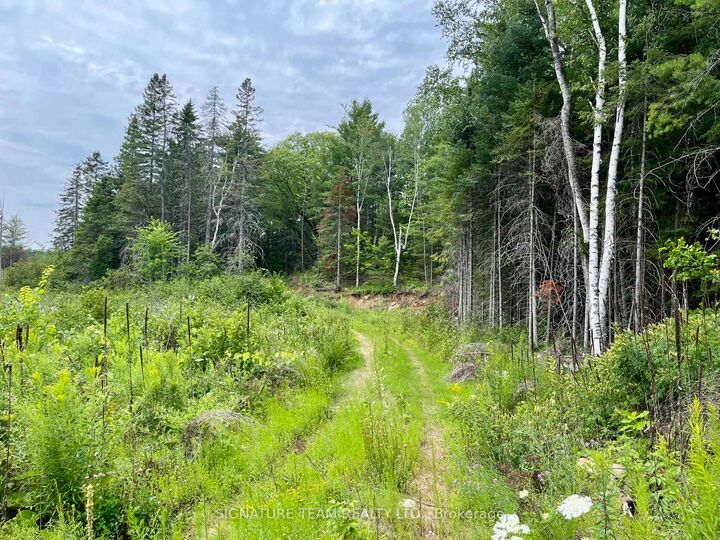 Property Photo:  1011 McGrath Road  ON K0J 1T0 