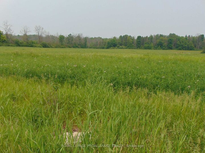 Property Photo:  00 Charleville Road N  ON K0E 1T0 