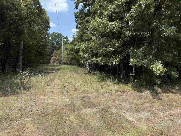 Property Photo: 00 Norris Lane AR 72802
