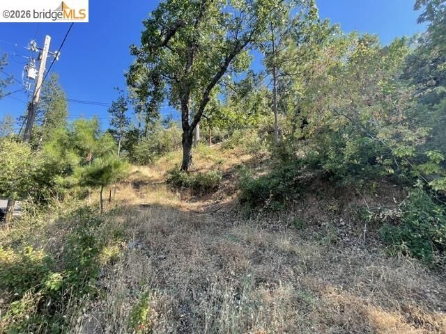 Property Photo:  20281 Canyonview  CA 95379 