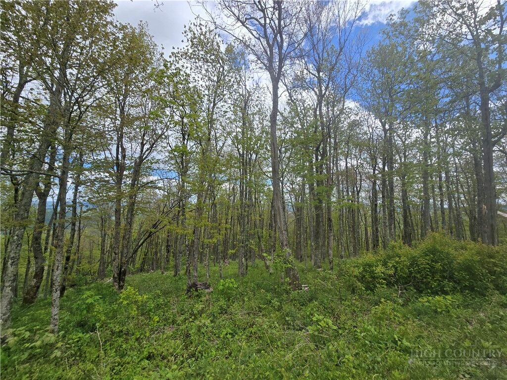 Property Photo:  Lot 86 Elk Mountain Parkway  NC 28684 