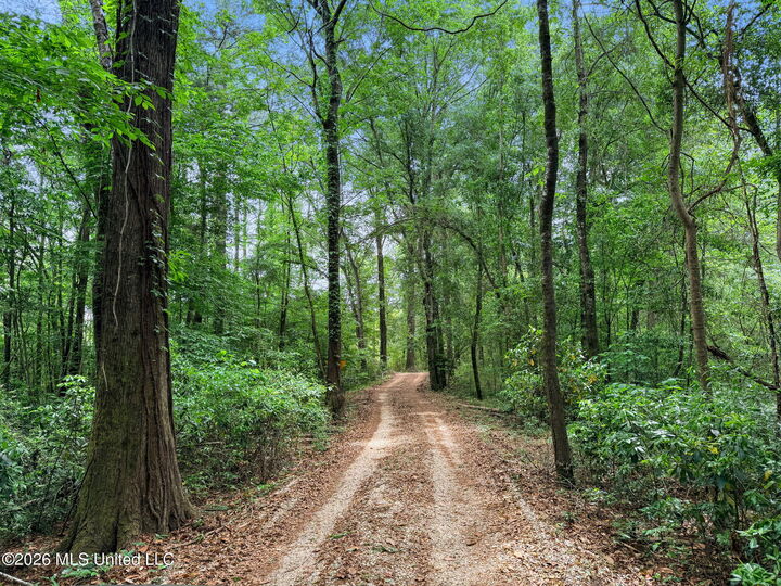 Property Photo:  1230 Morriston Road  MS 39465 