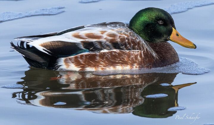 Property Photo:  3813 Canada Goose Xing  WI 53403 