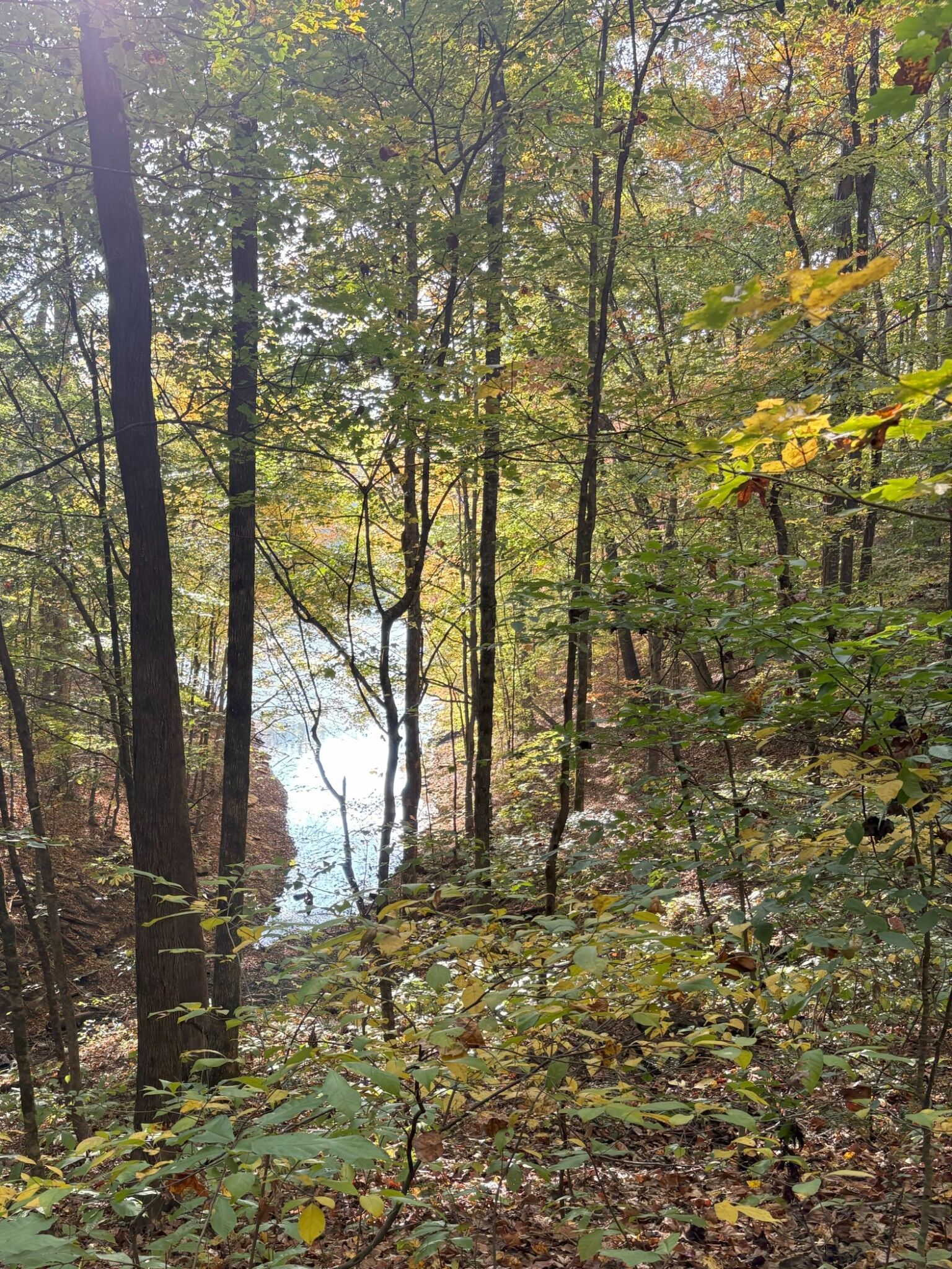 Property Photo:  0 Old Tullahoma Rd  TN 37330 