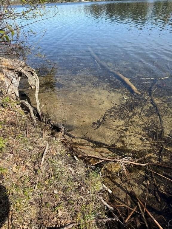 Property Photo:  000 Power Dam Road NE  MN 56601 