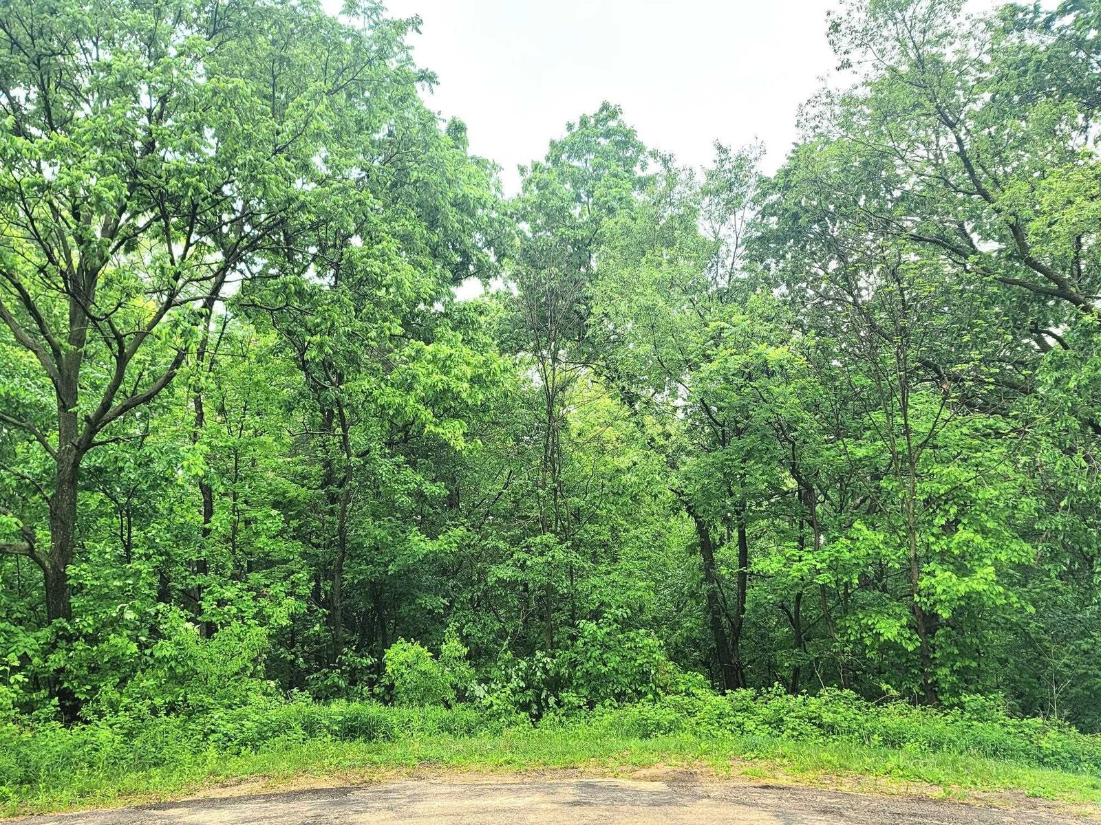 Property Photo:  4 Hillside Court  IL 61036 