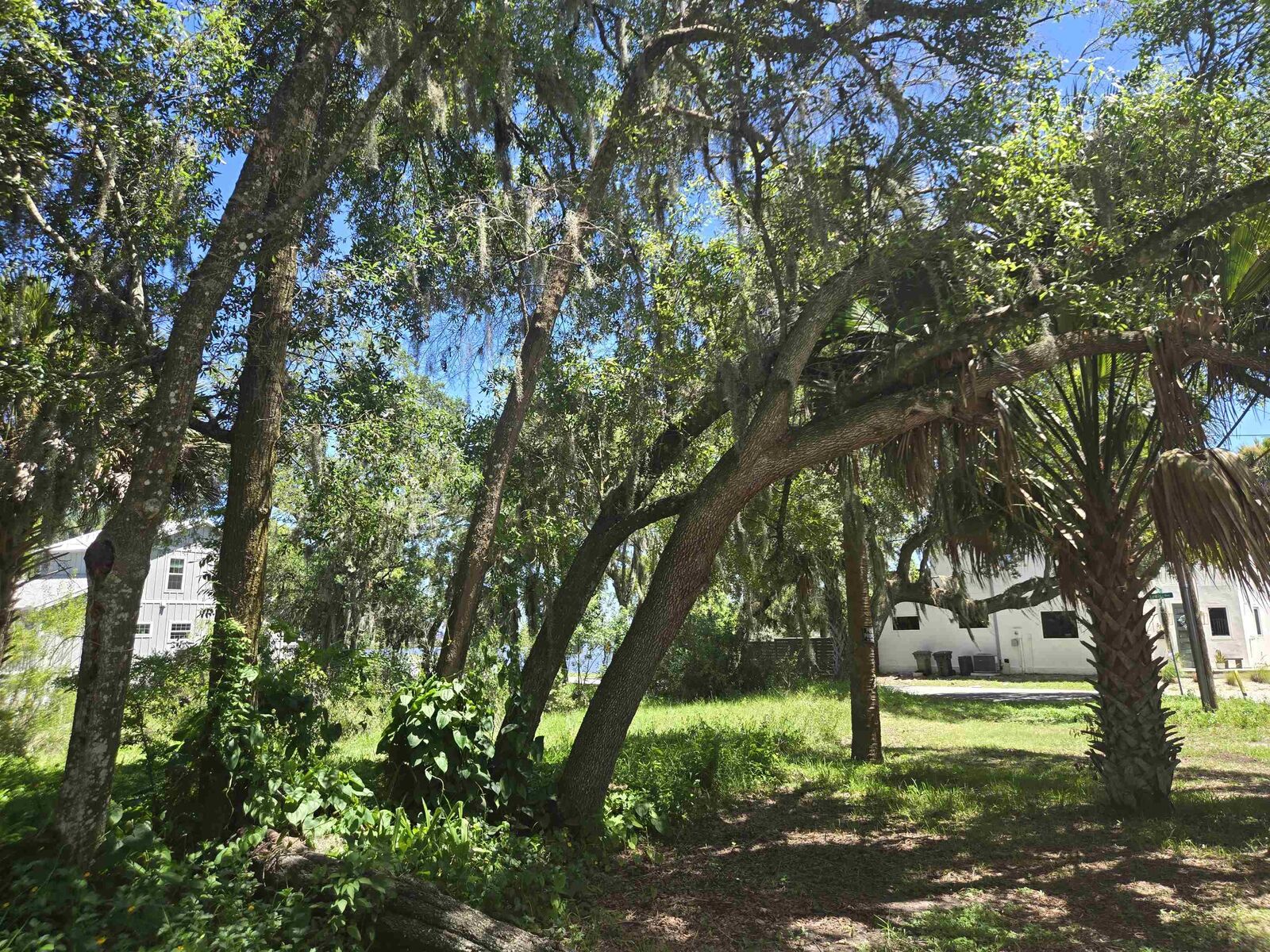 Property Photo:  25 Davis St  FL 32084 