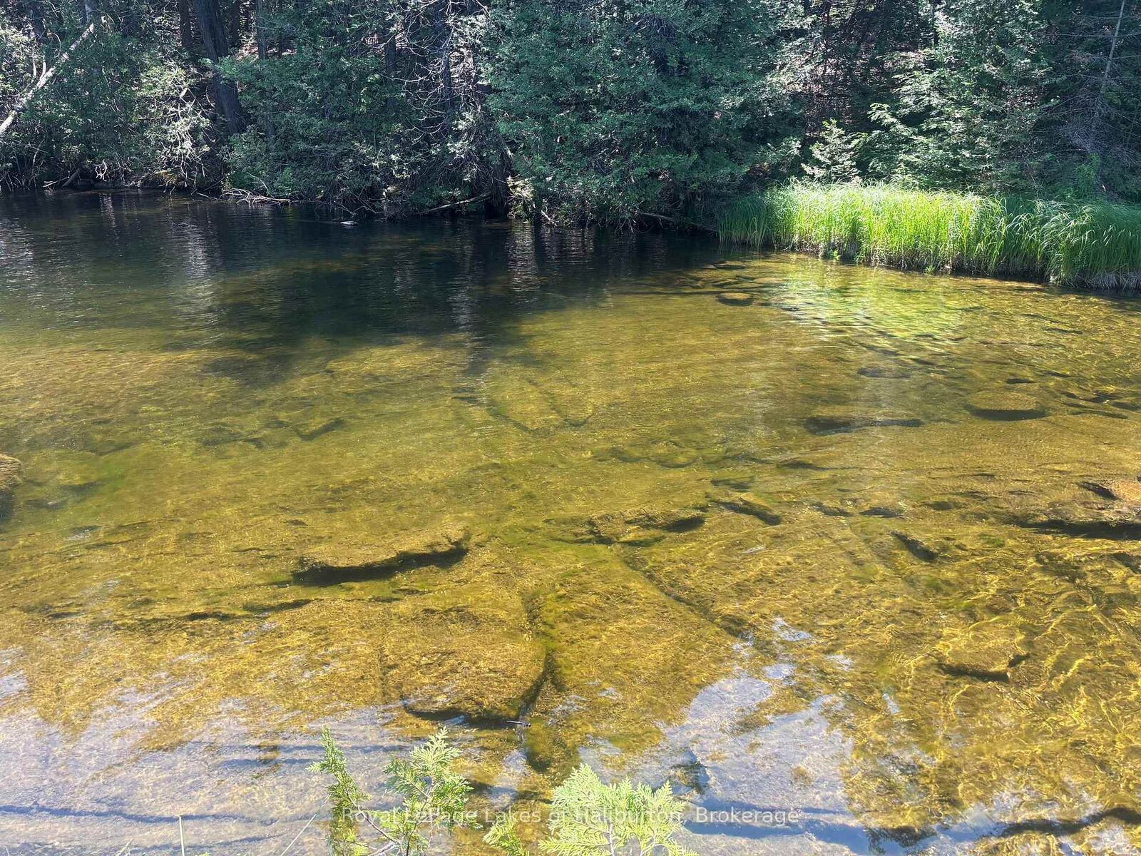 Property Photo:  Beside 1456 Crystal Lake Road  ON K0M 2A0 